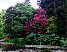 Christchurch Botanical gardens
