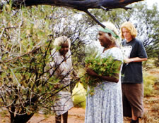 Gathering Bush Tucker