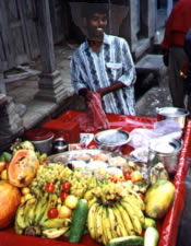 Fruit Vendor